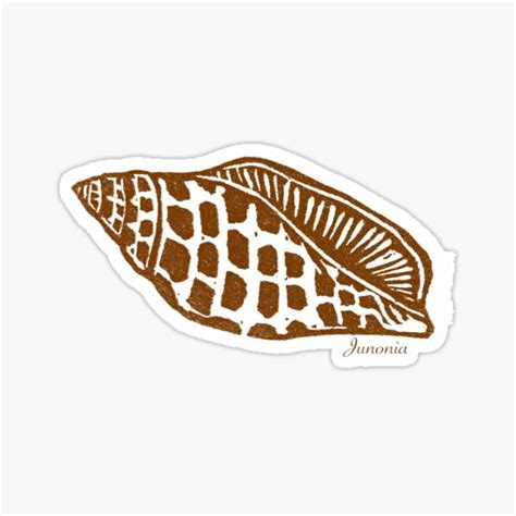 "Junonia Shell" Sticker for Sale by Alyssa Lennox | Redbubble