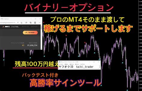 【未使用】バイナリーオプション【利益が出るまで永久サポート】プロのmt4とサインツール・手法そのままお渡しします。自動売買 アノマリーの落札