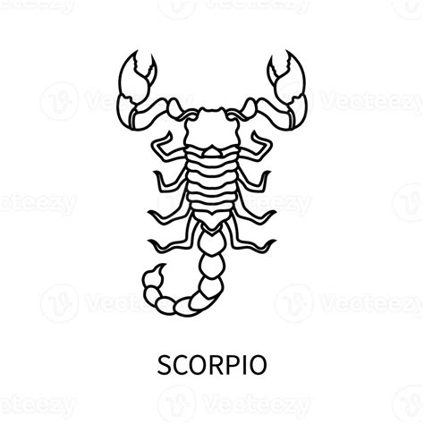 Scorpio Horoscope Symbol In Twelve Zodiac Constellation A Flat Line