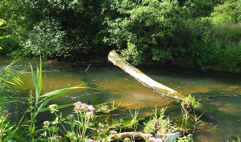 poznaj historie bialej przemszy