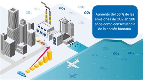 Cómo Las Emisiones De Carbono Acidifican Nuestros Océanos Oiea