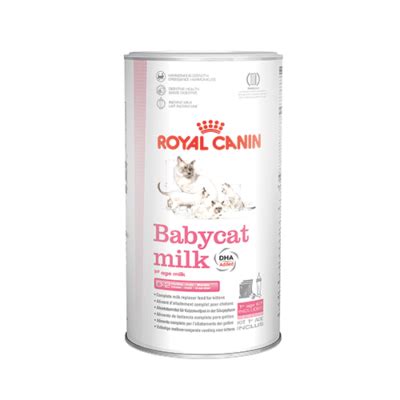 Royal Canin Babycat Milk da 300 gr - Latte in polvere