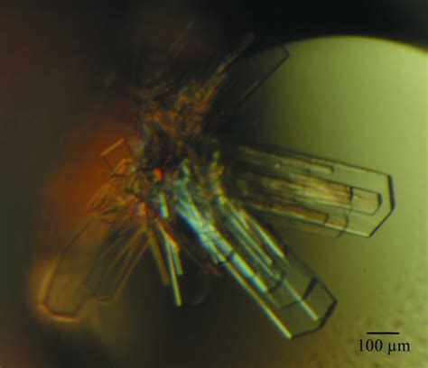 Iucr Cloning Expression Crystallization And Preliminary X Ray