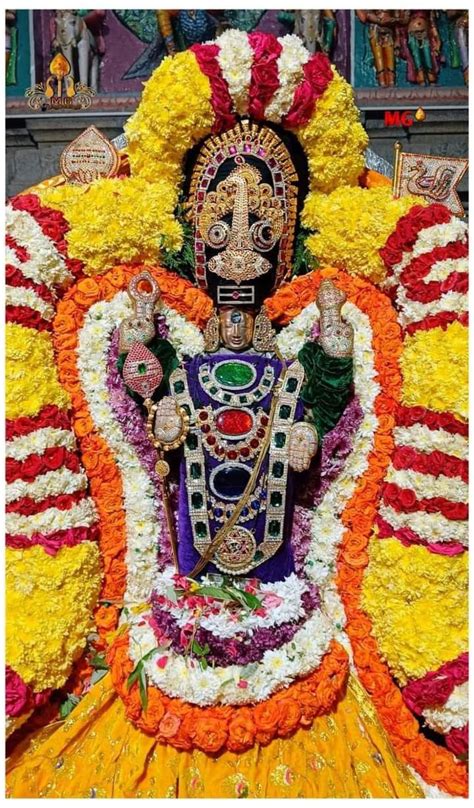 Pin By Sridhar Srinivasan On God Muruga Save