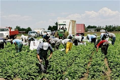 Llamada a la huelga en el campo en el mes de mayo Portal de Andalucía