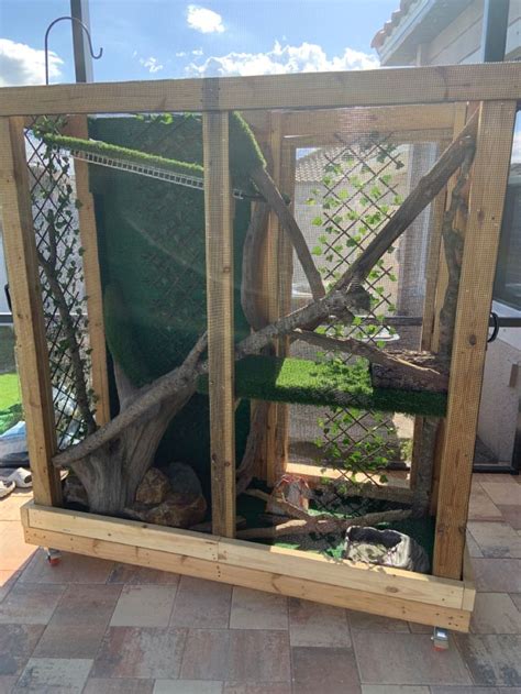 Iguana Cage Custom In 2024 Iguana Iguana Cage Diy Reptile