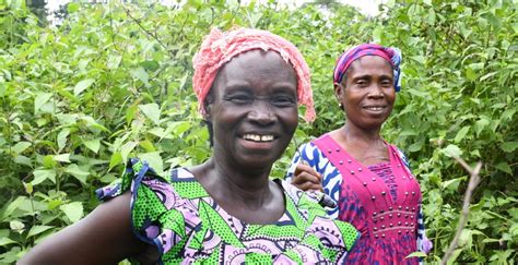 2022-2023 ‘Enhancing Climate Resilience in CARIFORUM Countries ...