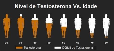 Testosterona função níveis saudáveis e nas mulheres resumo