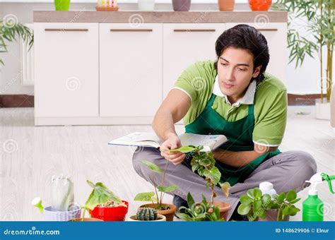 Jardineiro Masculino Novo Plantas Dentro Foto De Stock Imagem De