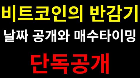 비트코인 반감기 전 꼭 매수해야 할 종목 공개 리플속보 리플 Youtube