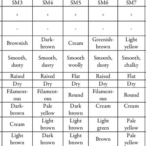 Morphological and cellular identification of Actinomycetes isolates ...