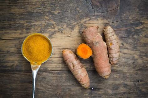 Erode Turmeric Today Curcuma Longa Contain Antioxidant Ayurvedic