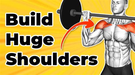 How To Train Shoulders With A Barbell Effective Exercises For