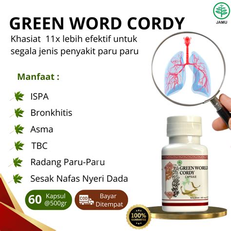 Jual Obat Ispa Radang Paru Paru Nyeri Dada Asma Tbc Batuk Menahun