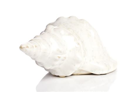 Статуэтка белая малая "Ракушка" Marine Shells White - купить за 2730 ...