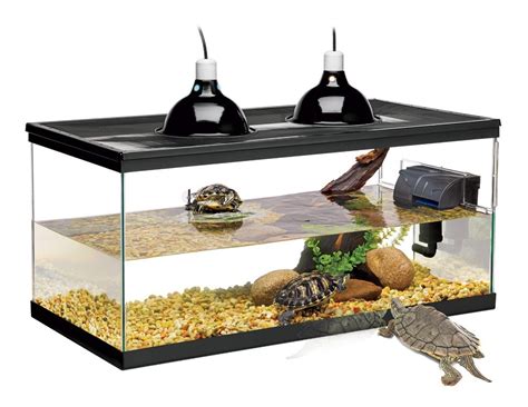 Tortuguera Vidrio Zilla Combo X X Cms Mercadolibre