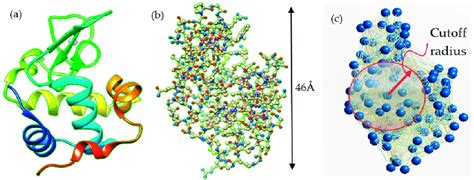 A The Ribbon Structure Of The Hen Egg White Lysozyme Pbd Code