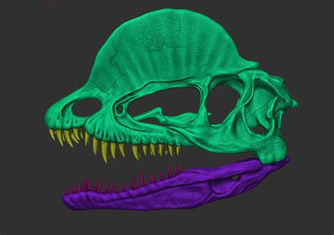 💀 Dilophosaurus Skull・ Stl File For 3d Printing・cults