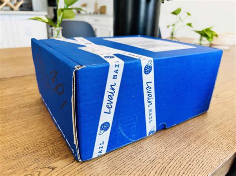 Levain Bakery Cookie Shipping Review (2023) - Urban Tastebud