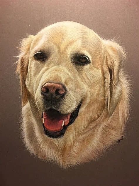 Golden Retriever Dog Portrait by Virginie Agniel