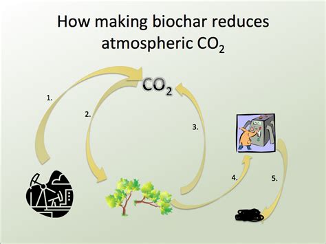 Langara Departments Chemistry Biochar Project What Is Biochar