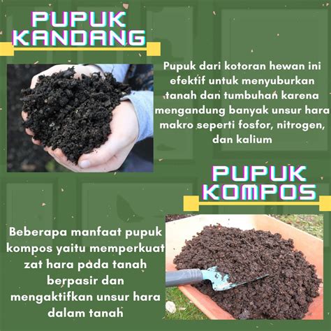 pupuk organik simbolnextcom