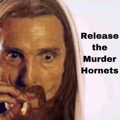 MUSCLEPILLED On Twitter Me When Someone Calls Me Gay For Wanting To Gently Tuck My Homies In