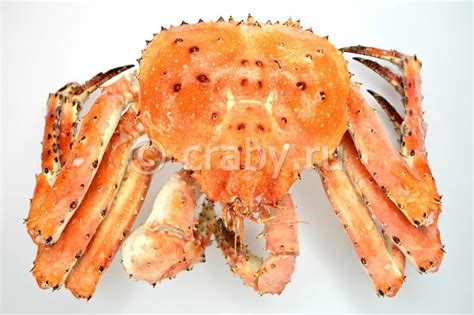 Cooked Frozen Blue King Crab