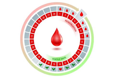 Ovulation – Know the Common Signs and Symptoms - Gahlaut Health Care