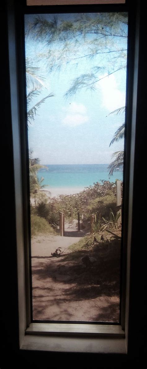 3M Frosted Privacy Window Film | Complete Film Solutions