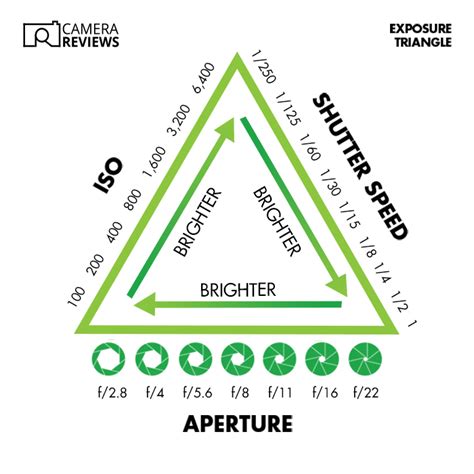 Aperture Shutter Speed Iso Beginners Guide In