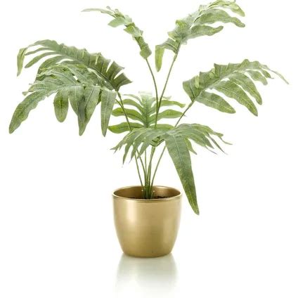 Kunstplant Phlebodium Groen In Gouden Pot 67 Cm