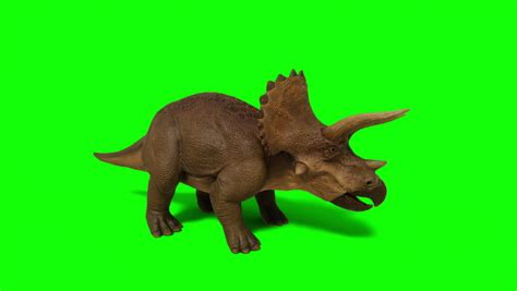 38 Cretaceous period plants Stock Video Footage - 4K and HD Video Clips ...