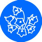 Колокольчик: Характеристика в цветочном гороскопе