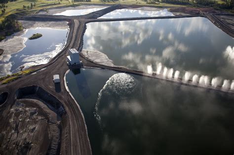 Protecting Wildlife From Toxic Coal Ash In Montana And Beyond The National Wildlife Federation