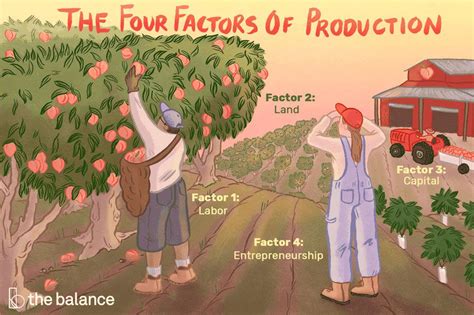 What Are The Factors Of Production