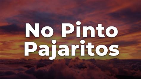 Andy Rivera No Pinto Pajaritos Letra Lyrics Official Music Video