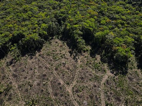 Cu Ndo Se Acaban Los Recursos Naturales En El Mundo Que