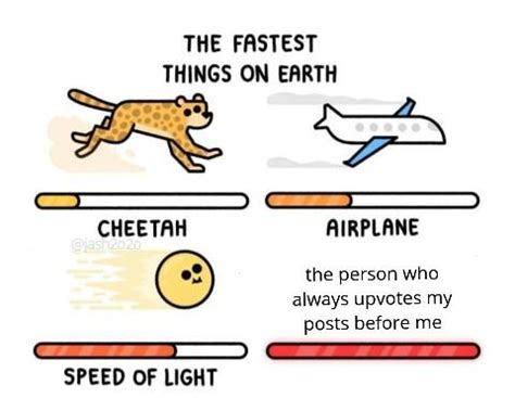 Faster than a speeding bullet : r/memes