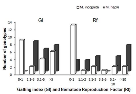 Distribution Of Galling Index Gi And Nematode Reproduction Factor