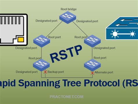 Spanning Tree Protocol Stp Concepts Cyber Security Networking