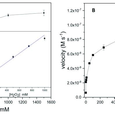 Steady State Kinetic Assays Of The A Fe O And B Fe