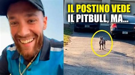 Il Corriere Si Allarma Vedendo Un Pitbull Nel Giardino Ma Il Cane