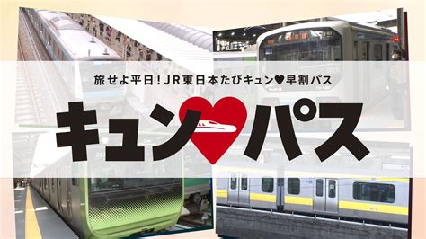 Jr東日本 平日限定“新幹線1万円乗り放題パス”を発売！専門家がオススメする旅行プランとは？ Tbs News Dig