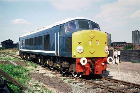 BR Class 44 – Rapido Trains UK