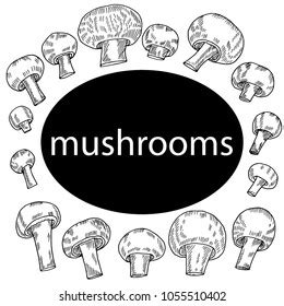 Hand Drawn Sketch Style Mushroomsvector Illustration Stock Vector