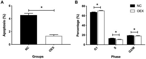 Effect Of Overexpression With Mir On Cell Apoptosis And Cell Cycle