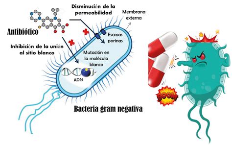 Las Superbacterias La Realidad Supera La Ficción