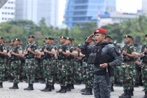 Baru Lulus Kuliah Yuk Daftar Bintara Prajurit Karir Tni Ad Simak