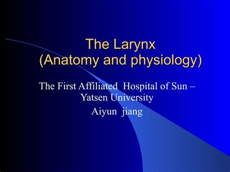 4 The Larynx Anatomy PPT